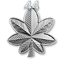 rank 44