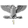 rank 46
