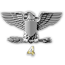 rank 49